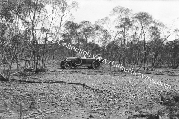 'BEASTIES' MALLEE HEN'S NEST ?